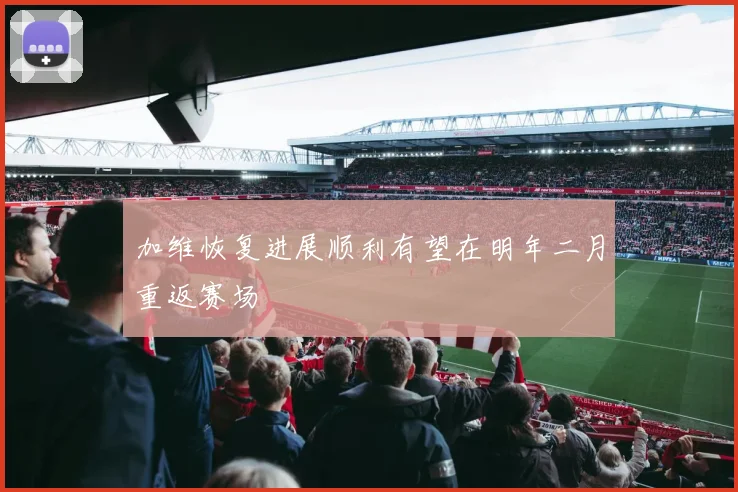 加维恢复进展顺利有望在明年二月重返赛场